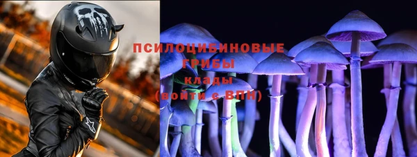 прущая мука Горняк