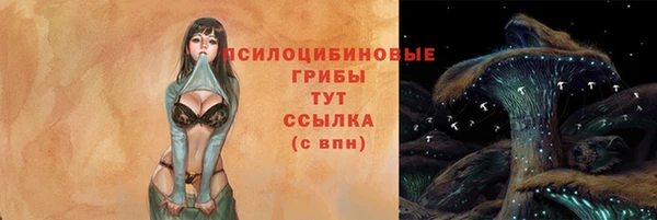 таблы Горнозаводск