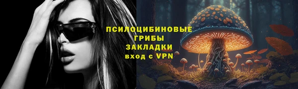 прущая мука Горняк