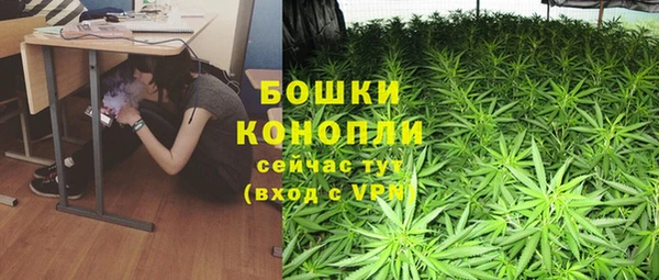 прущий лед Горно-Алтайск