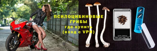 прущий лед Горно-Алтайск