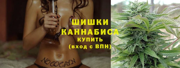 прущая мука Горняк